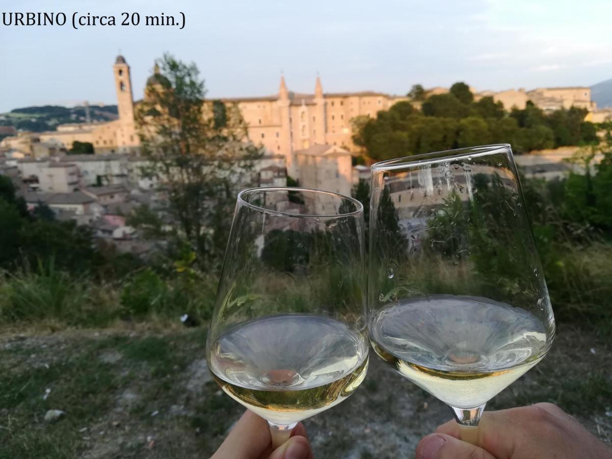 Casa L'aria Leggera Apartment